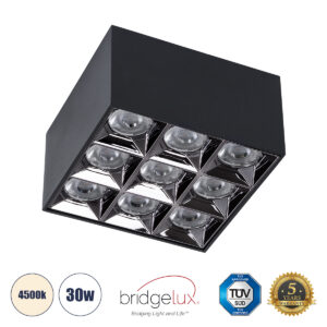 GLOBOSTAR® LUMINAR 60336 Downlight Σποτ LED 30W 4200lm 36° AC 220-240V IP20 Φυσικό Λευκό 4500K - Osram SMD Chip & TÜV SÜD Driver - Μαύρο Ματ - Μ12 x Π12 x Υ6.6cm - 5 Χρόνια Εγγύηση